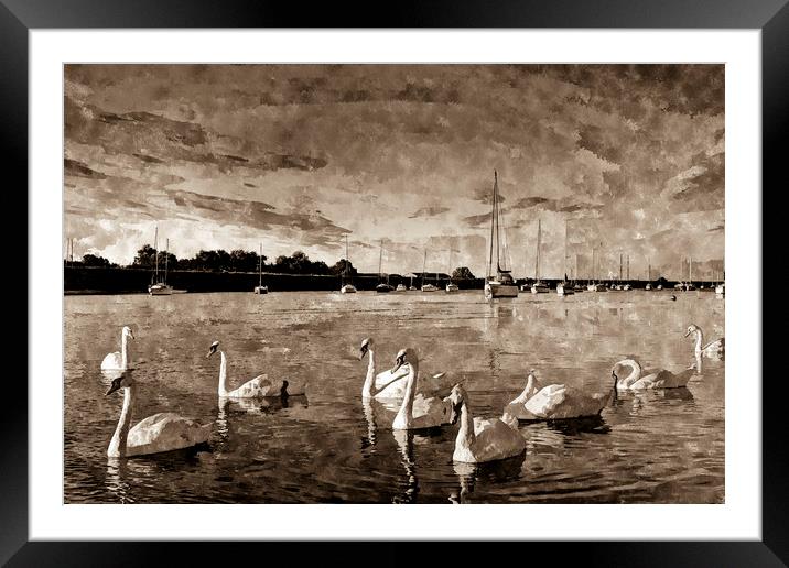 Vintage Swan Painting Framed Mounted Print by David Pyatt