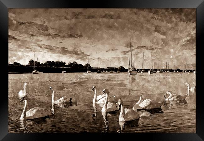 Vintage Swan Painting Framed Print by David Pyatt