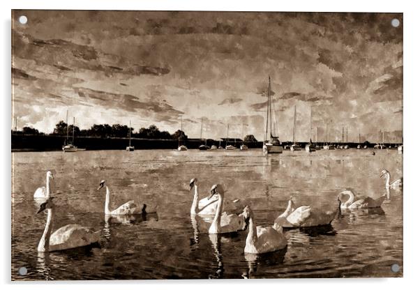 Vintage Swan Painting Acrylic by David Pyatt