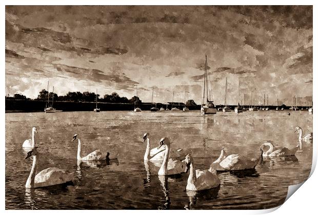 Vintage Swan Painting Print by David Pyatt