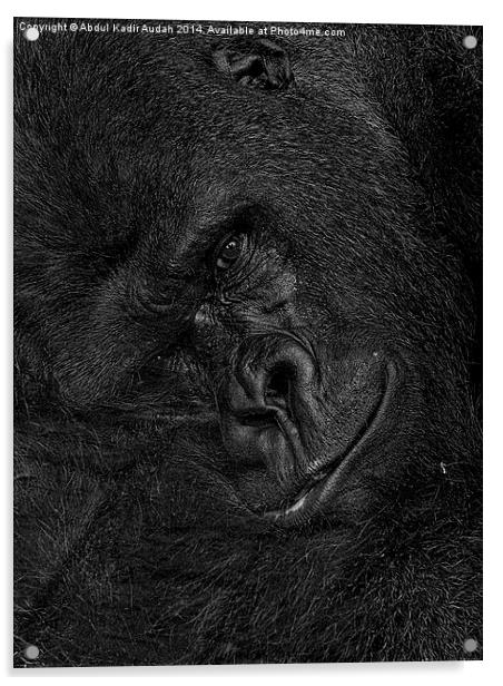 The Smiling Gorilla Acrylic by Abdul Kadir Audah
