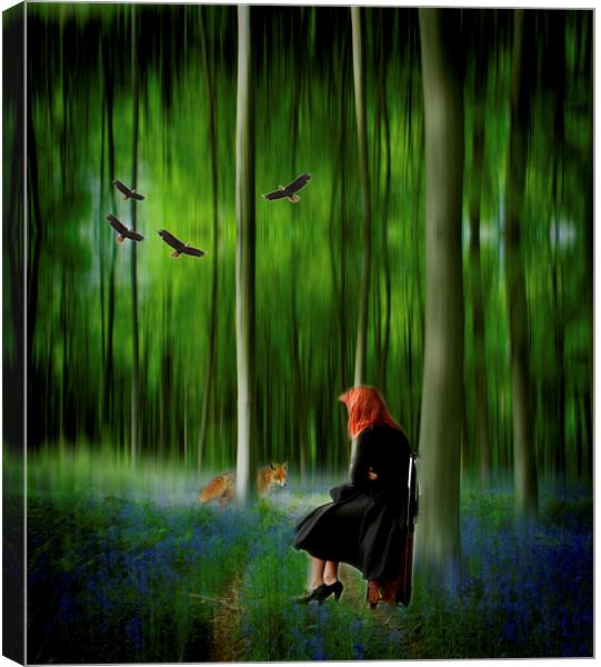 Red riding hood in Blue Bell wood   Digital art Canvas Print by David French