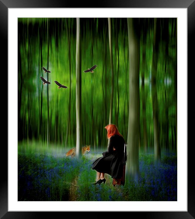 Red riding hood in Blue Bell wood   Digital art Framed Mounted Print by David French