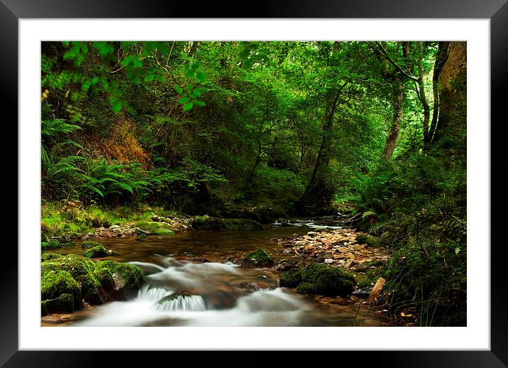 Hideaway in Horner Woods Framed Mounted Print by Dave Rowlatt