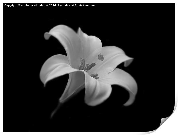 Simply Lilly Print by michelle whitebrook