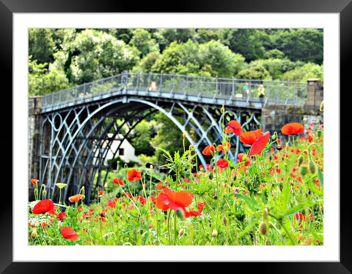ironbridge gorge with poppies Framed Mounted Print by Andy Smith