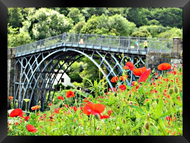 ironbridge gorge with poppies Framed Print by Andy Smith