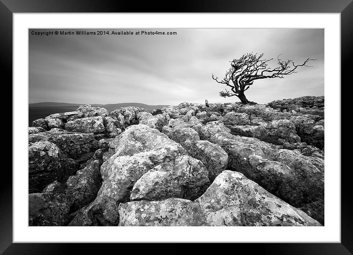 Yorkshire Dales Tree Framed Mounted Print by Martin Williams