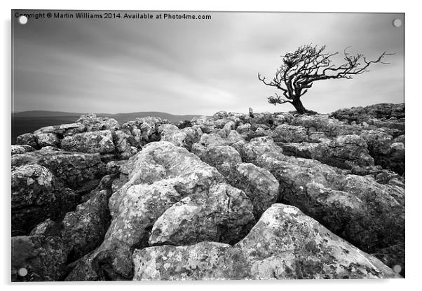 Yorkshire Dales Tree Acrylic by Martin Williams