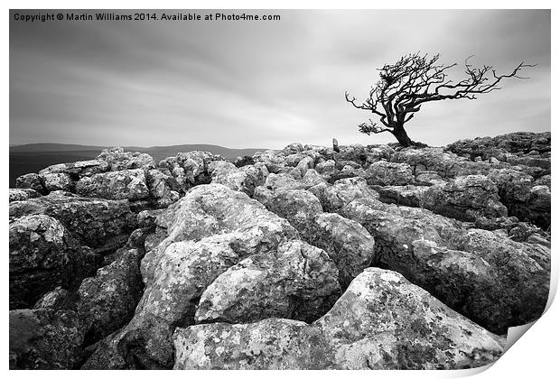 Yorkshire Dales Tree Print by Martin Williams
