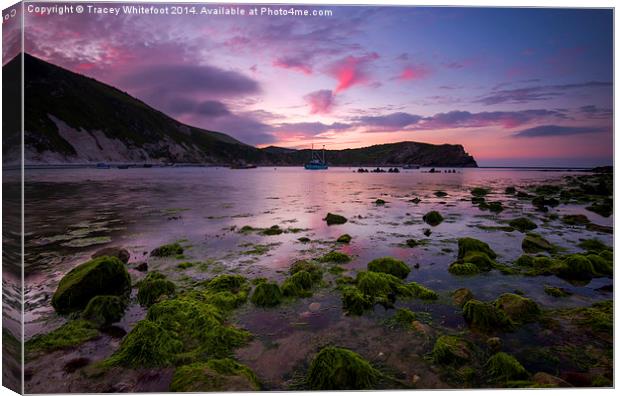Lulworth Cove Sunrise Canvas Print by Tracey Whitefoot