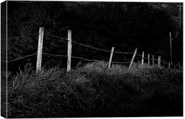 Rickety old fence Canvas Print by Leighton Collins