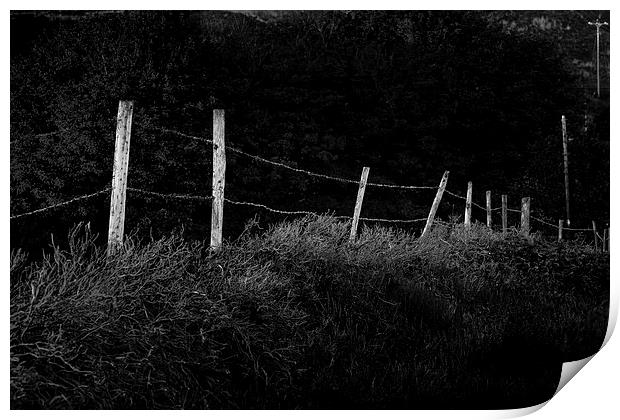 Rickety old fence Print by Leighton Collins