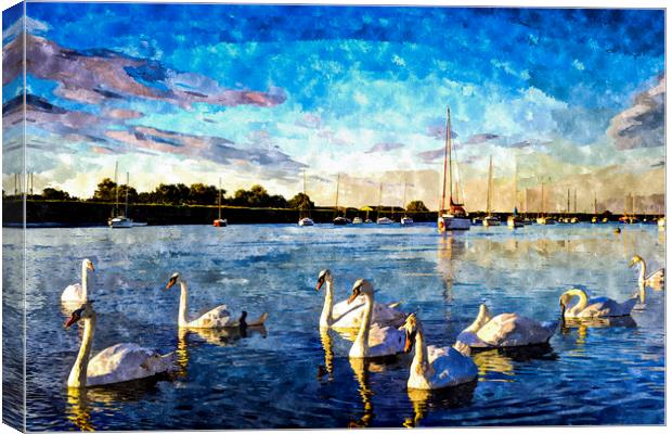 The Swans Canvas Print by David Pyatt