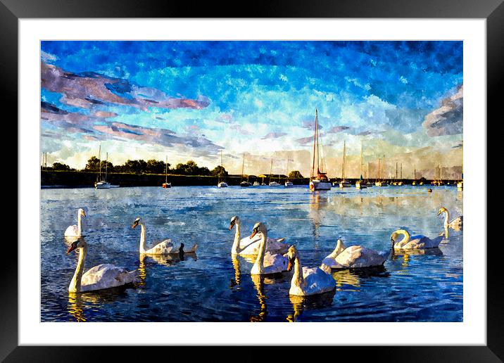 The Swans Framed Mounted Print by David Pyatt