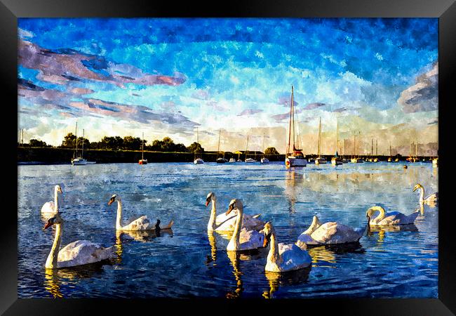 The Swans Framed Print by David Pyatt