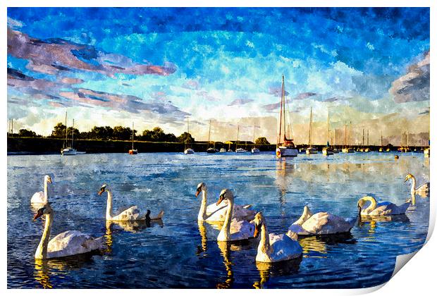 The Swans Print by David Pyatt