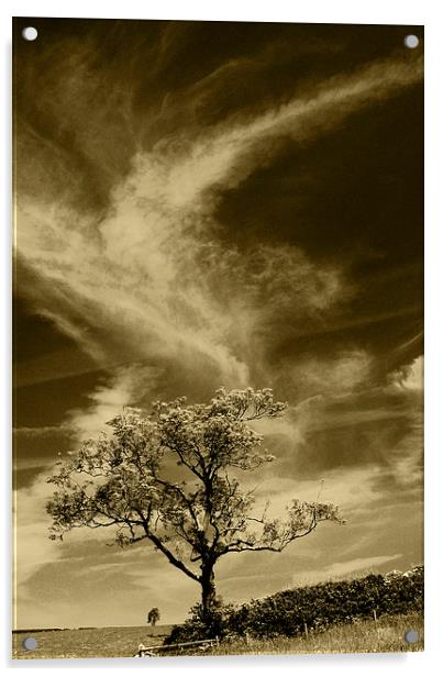 Anyway The Wind Blows Acrylic by Steven Garratt