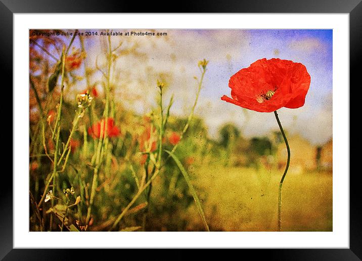 Playground Poppy Framed Mounted Print by Julie Coe