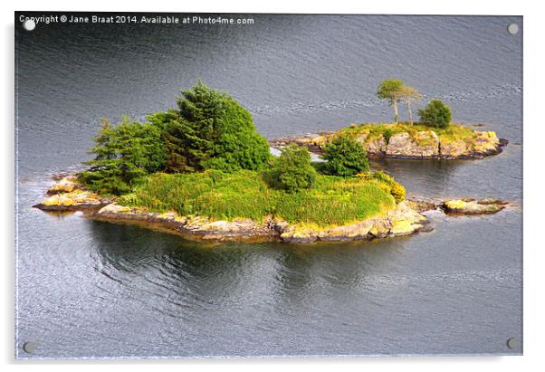 Island in the Kyles of Bute Acrylic by Jane Braat