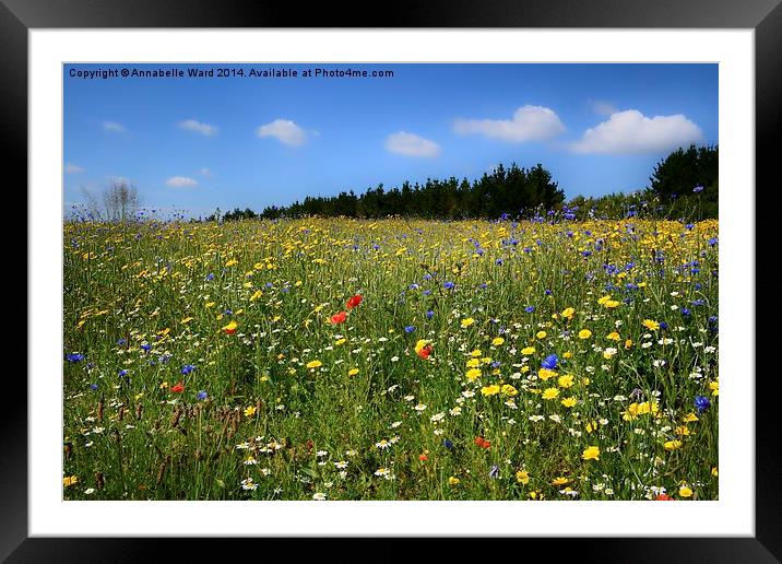 Wild Flowers Meadow Framed Mounted Print by Annabelle Ward
