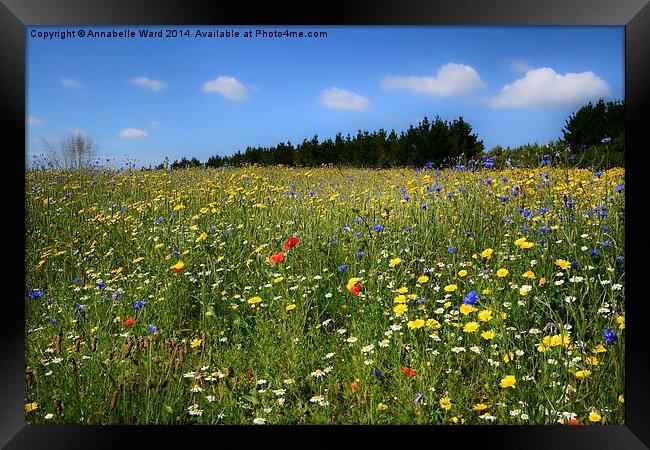 Wild Flowers Meadow Framed Print by Annabelle Ward