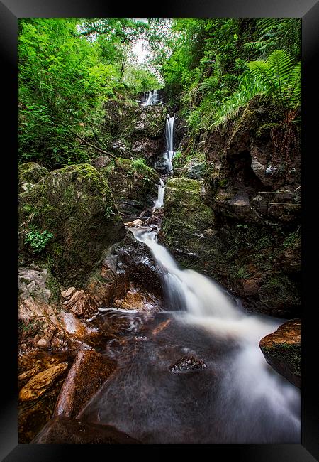 Little Fawn Waterfall Framed Print by Sam Smith