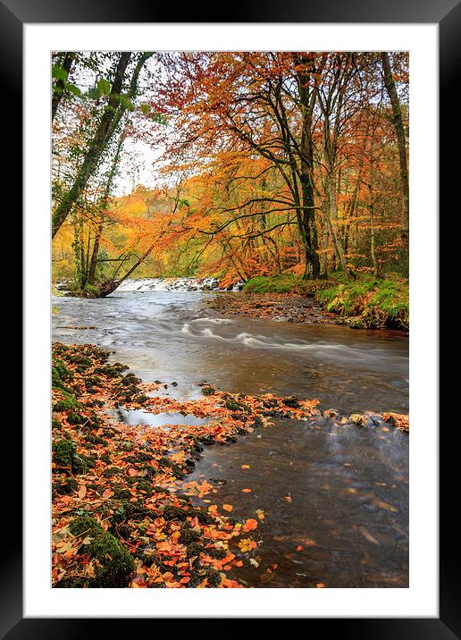 Autumn Along the Teign Framed Mounted Print by Dave Rowlatt