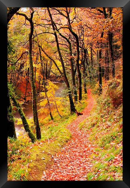Autumn on the Coleridge Way Framed Print by Dave Rowlatt