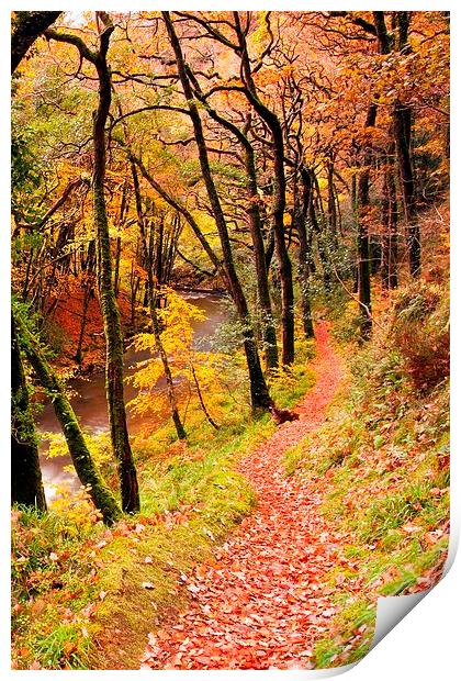 Autumn on the Coleridge Way Print by Dave Rowlatt