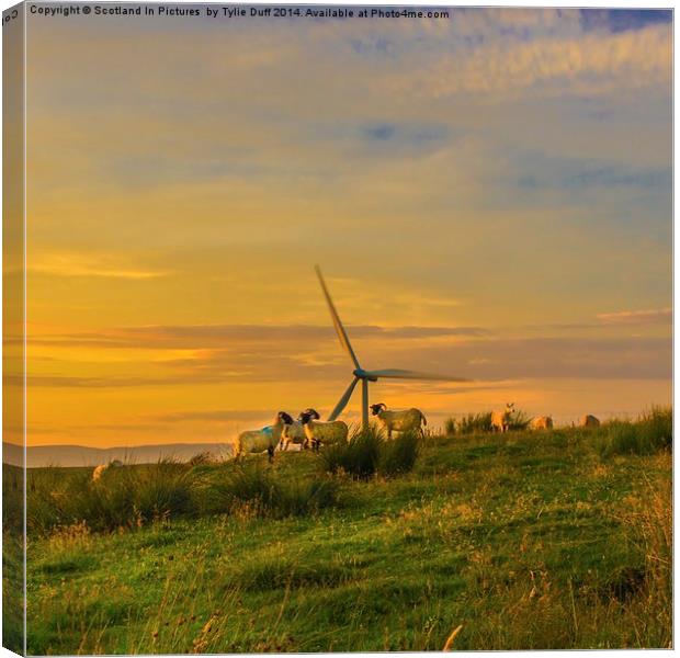 Dusk at Whitelee Wind Farm Canvas Print by Tylie Duff Photo Art