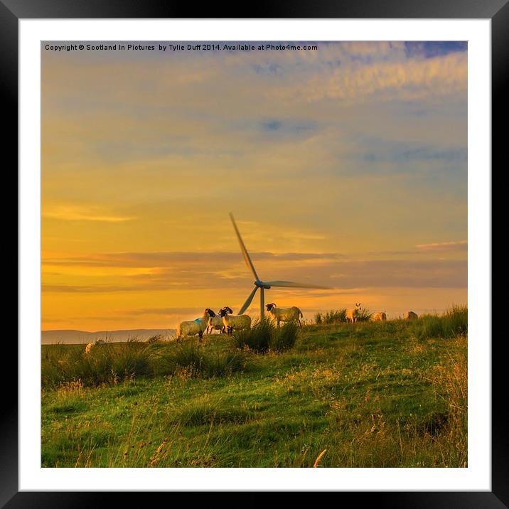 Dusk at Whitelee Wind Farm Framed Mounted Print by Tylie Duff Photo Art