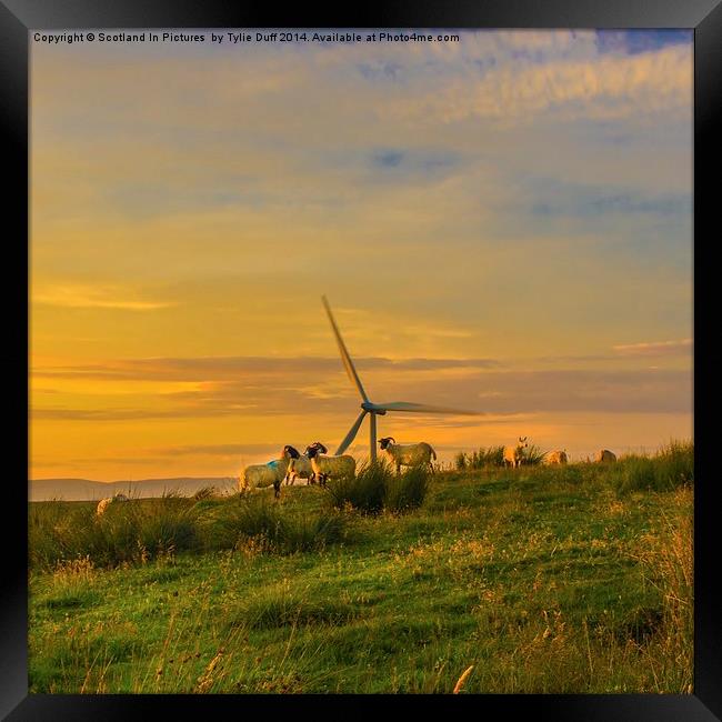 Dusk at Whitelee Wind Farm Framed Print by Tylie Duff Photo Art