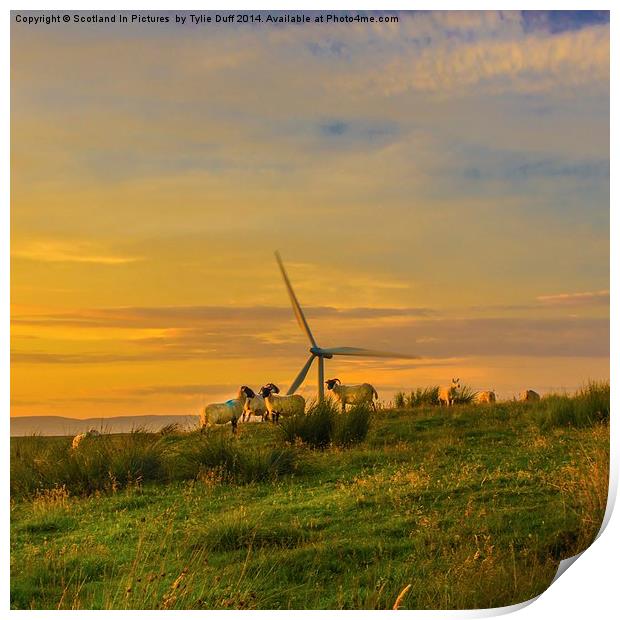 Dusk at Whitelee Wind Farm Print by Tylie Duff Photo Art