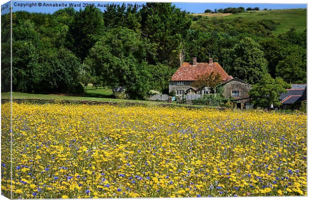 Country Cottage and Flowers Canvas Print by Annabelle Ward