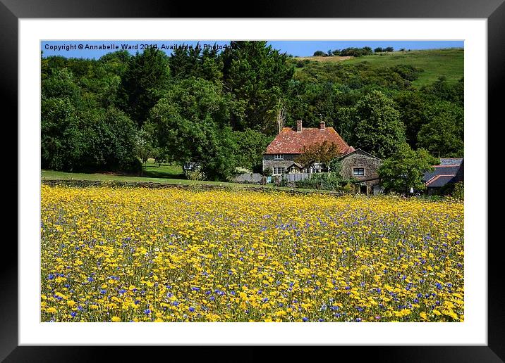 Country Cottage and Flowers Framed Mounted Print by Annabelle Ward
