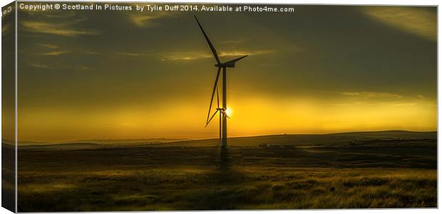 Turbines in a Scottish Sunset Canvas Print by Tylie Duff Photo Art