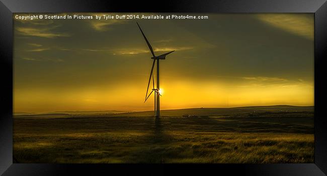 Turbines in a Scottish Sunset Framed Print by Tylie Duff Photo Art