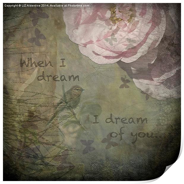  When I Dream Print by LIZ Alderdice