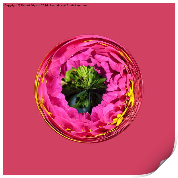  Pink flower in globe Print by Robert Gipson