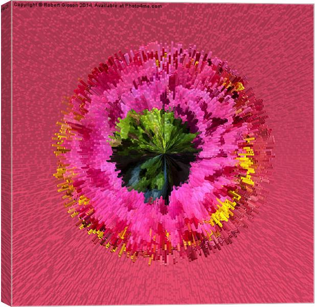  Exploding flower globe abstract Canvas Print by Robert Gipson