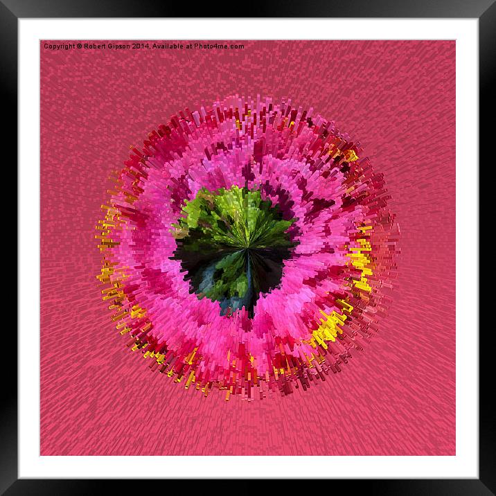  Exploding flower globe abstract Framed Mounted Print by Robert Gipson