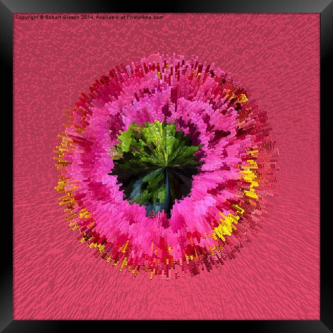  Exploding flower globe abstract Framed Print by Robert Gipson