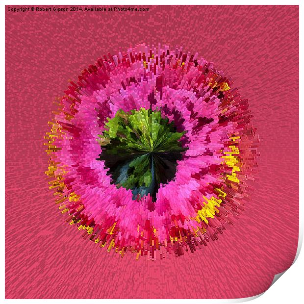  Exploding flower globe abstract Print by Robert Gipson