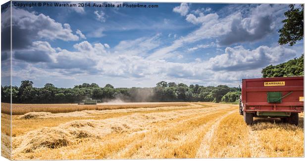  Harvest Time Canvas Print by Phil Wareham
