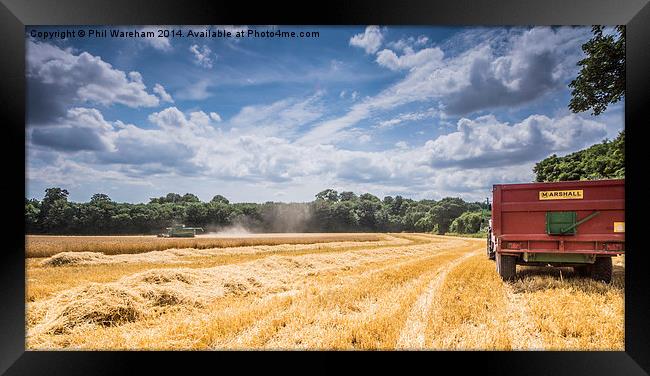  Harvest Time Framed Print by Phil Wareham