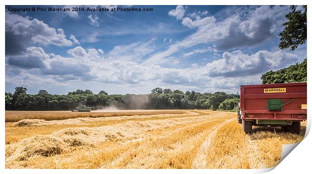  Harvest Time Print by Phil Wareham