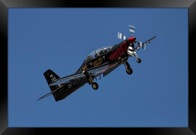  Poppy Tucano Framed Print by J Biggadike