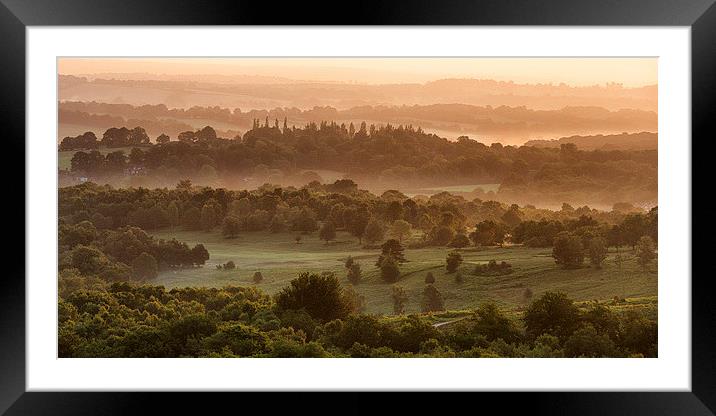  Ashdown Forest Framed Mounted Print by sam moore
