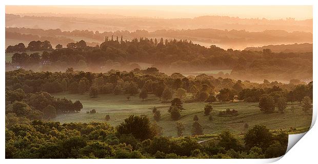  Ashdown Forest Print by sam moore
